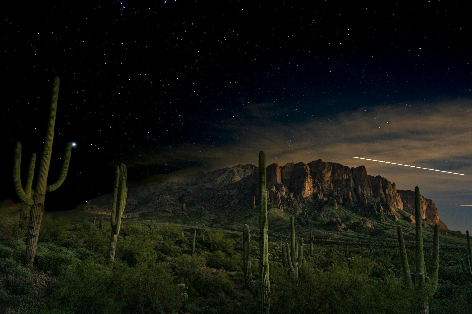 皇冠体育体育场背景